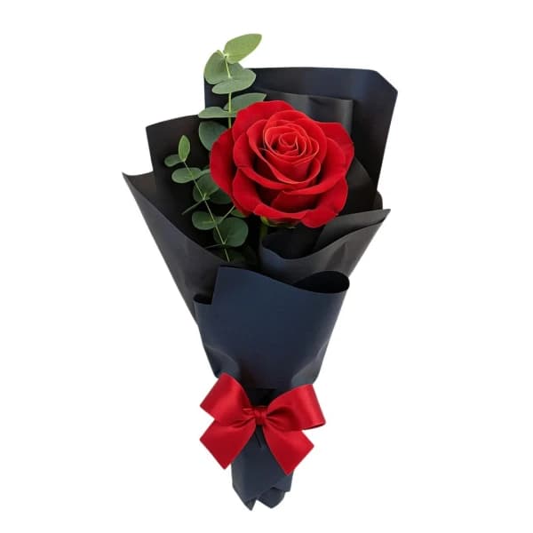 1 Rosa Importada Thaise