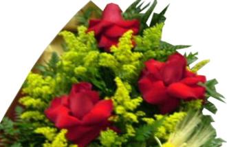 Bouquet de Flores com Rosas e Tango