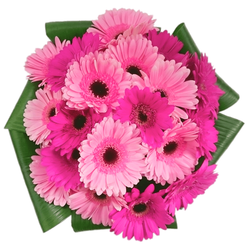 Bouquet de Flores de Gérberas Cor de Rosa